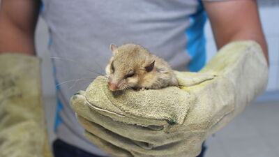 İlk kez karşılaştılar!