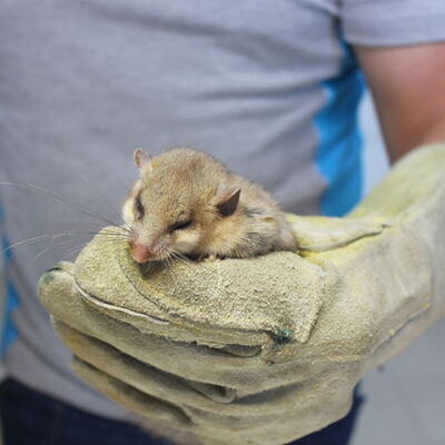 İlk kez karşılaştılar!