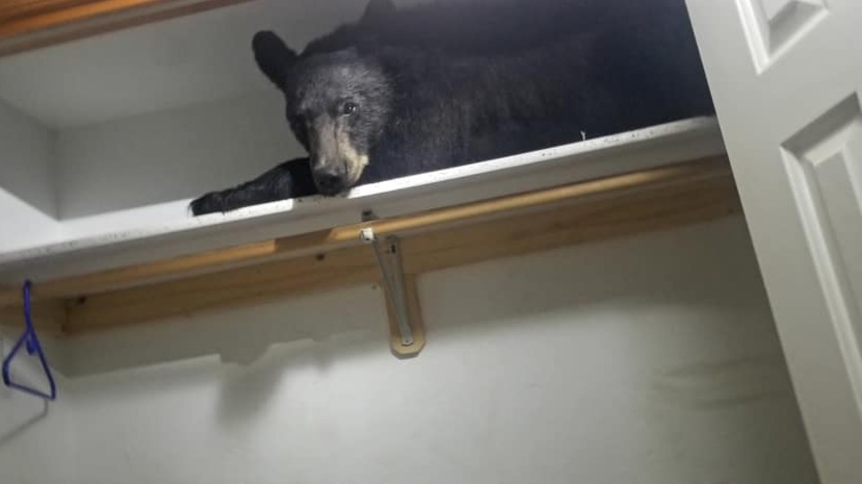 Önce içeri girdi, sonra kapıyı kilitledi!