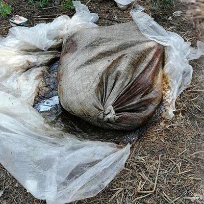 Bu nasıl vicdansızlık!