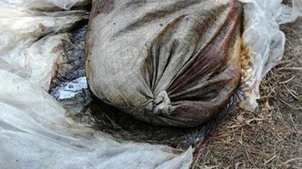 Bu nasıl vicdansızlık!