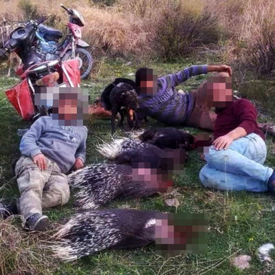 Katliamın fotoğrafını paylaştılar!