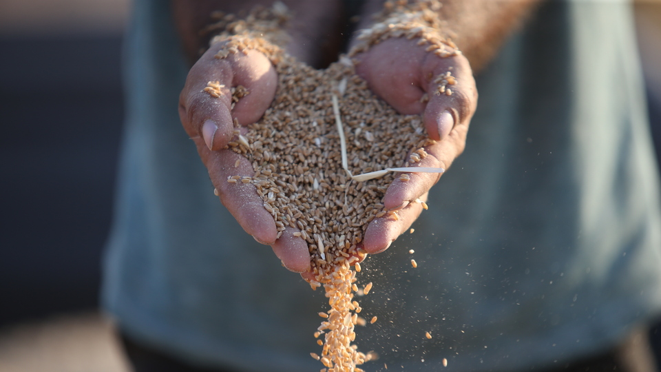 Yurt dışından büyük ilgi! 50 bin ton...