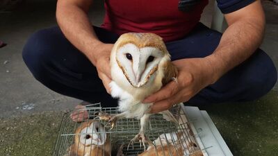 Mahalleyi uyutmayan sesin sırrı çözüldü