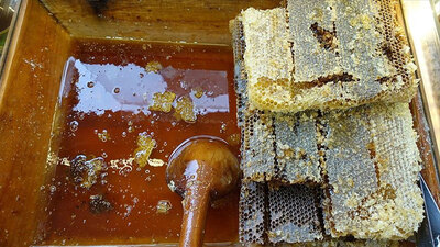 Türk balı 41 ülkede ağızları tatlandırdı