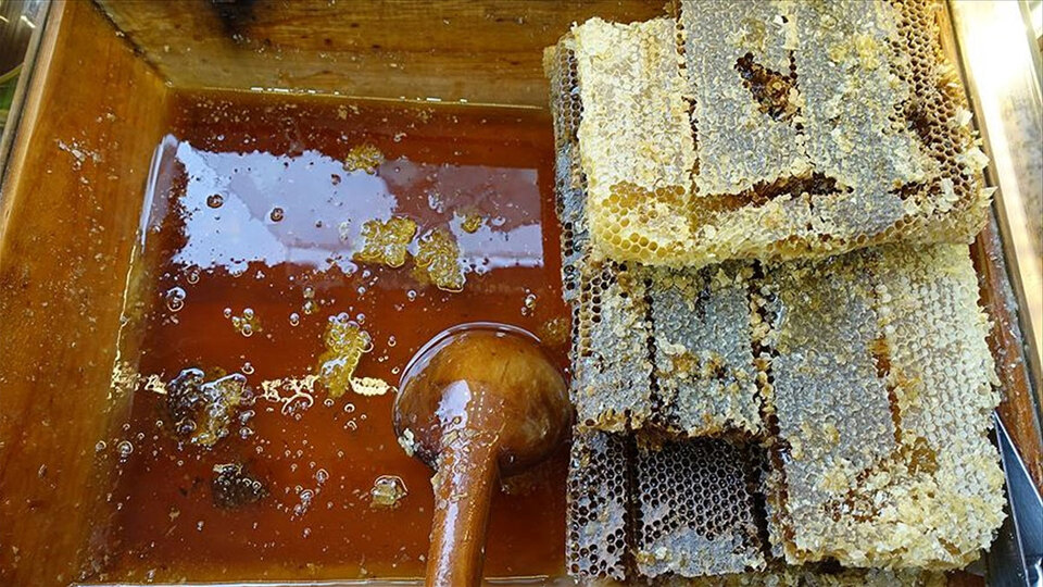 Türk balı 41 ülkede ağızları tatlandırdı