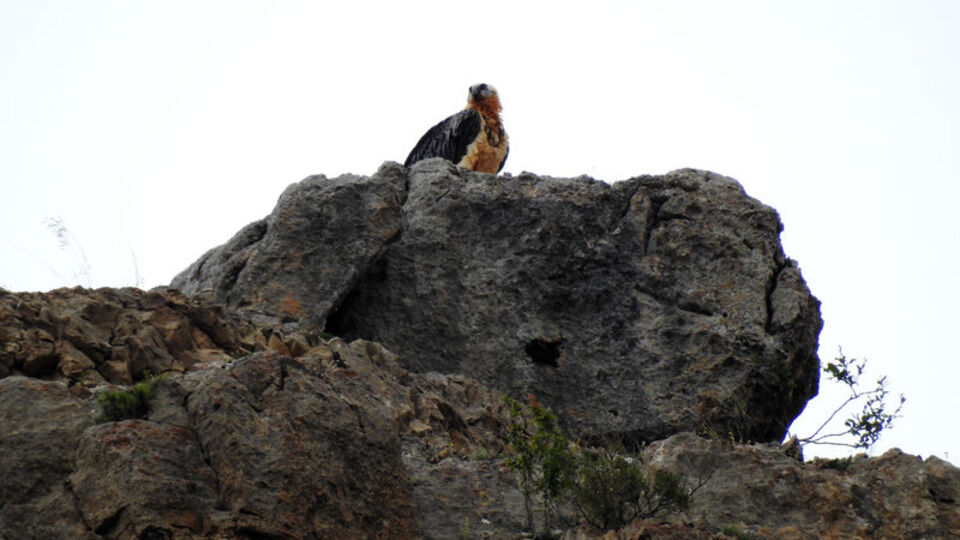 2 yıldır takip ediyorlardı!