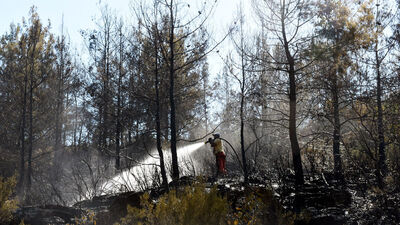 Alanya'da orman yangını!