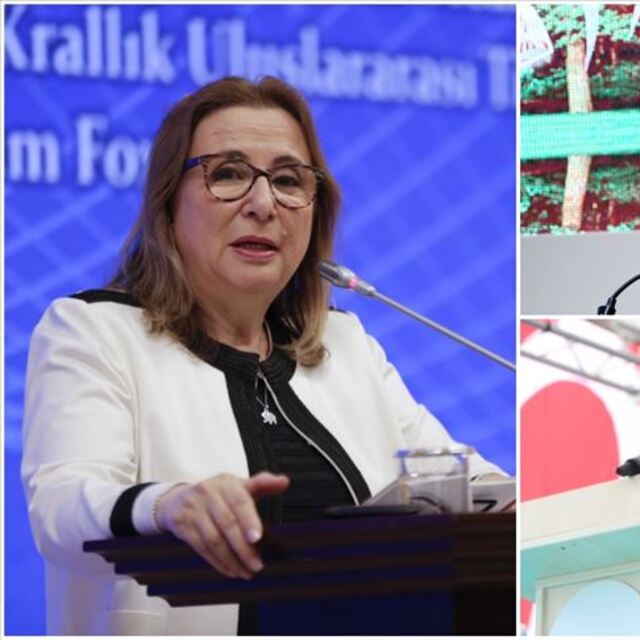 Ekonomi bakanlarının diplomasi trafiği