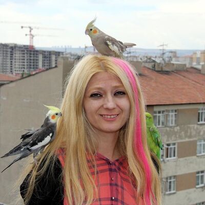 Sokakta papağanla ücretli hatıra fotoğrafına para cezası