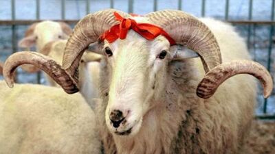 Kurban Bayramı ne zaman?