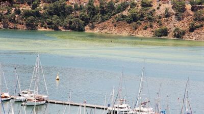 Fethiye'de tedirgin eden görüntü