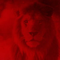 Terim'in istediği ismi açıkladı!