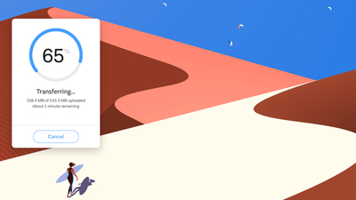 WeTransfer adresleri karıştırmış!