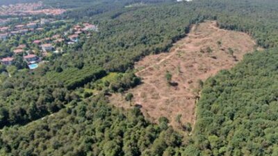 Bu görüntüye açıklama geldi!