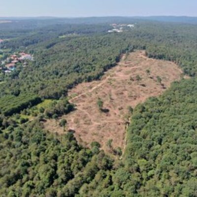 Bu görüntüye açıklama geldi!