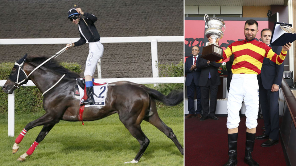 Yengesine cinsel saldırıda bulunmuştu