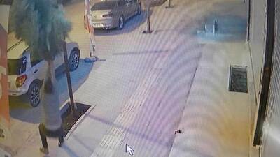 Kaldırımdaki fidanı kıran magandaya örnek ceza!