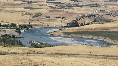 Diyarbakır'da arazide cansız beden bulundu