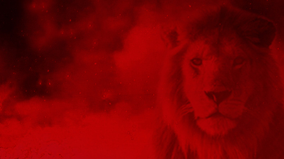 Galatasaray'dan transferde hat-trick