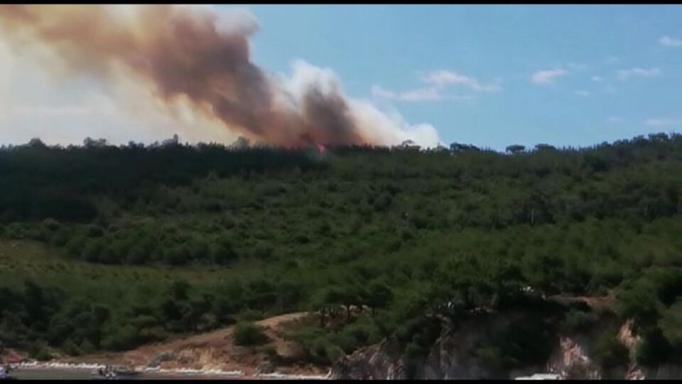 Heybeliada'da korkutan yangın