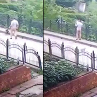 Kan donduran hareket! Yavru köpeği dereye attı