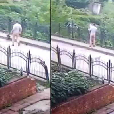 Kan donduran hareket! Yavru köpeği dereye attı