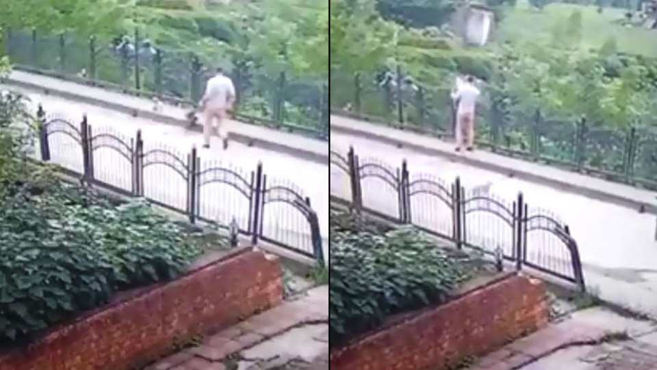 Kan donduran hareket! Yavru köpeği dereye attı