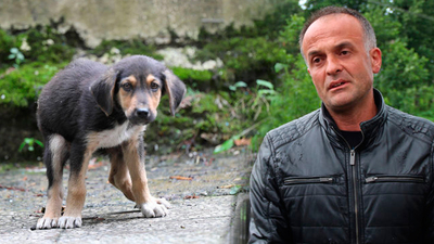 Yavru köpeği dereye atan işçiden skandal açıklama!