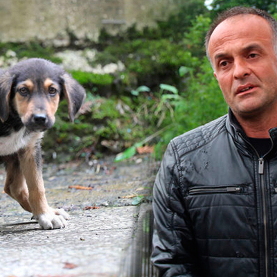 Yavru köpeği dereye atan işçiden skandal açıklama!