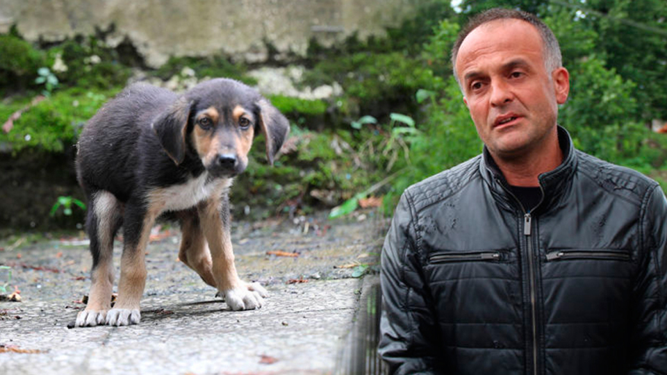 Yavru köpeği dereye atan işçiden skandal açıklama!