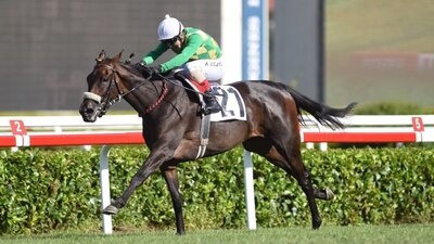 Gazi Koşusu'nu kazanan belli oldu!