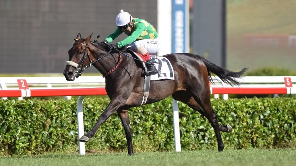 Gazi Koşusu'nu kazanan belli oldu!