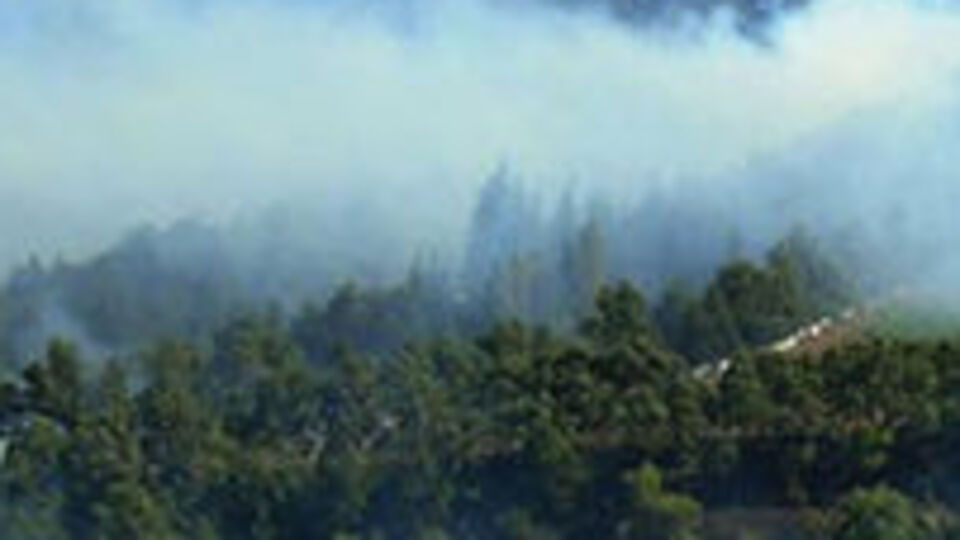 Gaziantep'te orman yangını