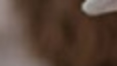 Kurban Bayramı ne zaman, kaç gün tatil?