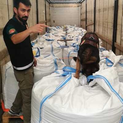 Sınır dışı edecekken fark ettiler! Tam 30 milyon...