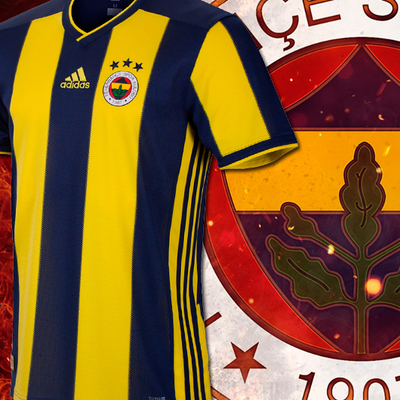 "Fenerbahçe yönetimi ağır davranmamalı"