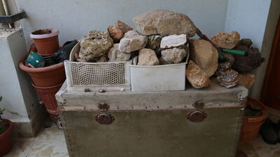 20 yıldır topluyor!