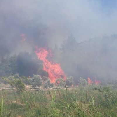 Alevler ilerliyor, evler boşaltıldı!