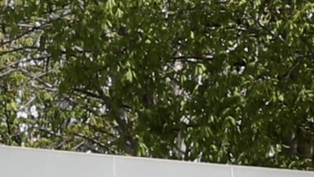Dışişleri'nden BM'ye kınama!