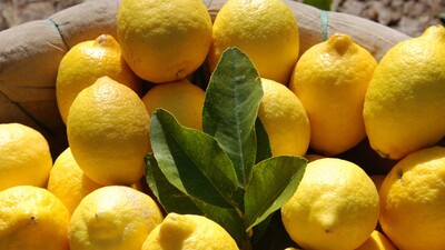 Haziranda en fazla limonun fiyatı arttı