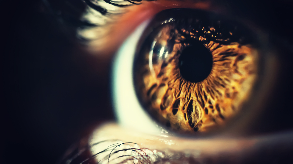 Bu haber size sigarayı bıraktıracak!