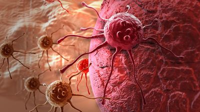 Tümörlerin zayıf noktasını bulmayı başardılar!