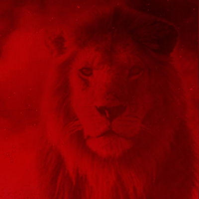 Aslan'ın golcüsü Norveç'ten!