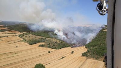 Gelibolu'da ormanlık alanda yangın!