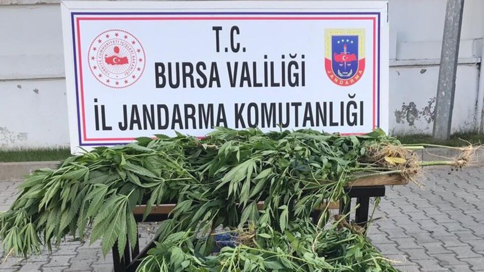 Bursa'da Hint keneviri operasyonu