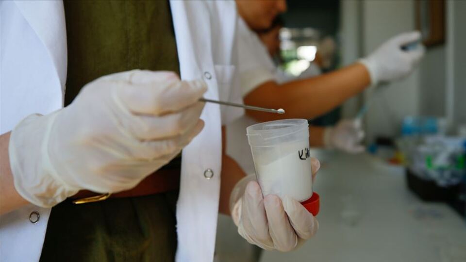 Yeğeninin hastalığından etkilenip 'ilaç taşıma sistemi' geliştirdi