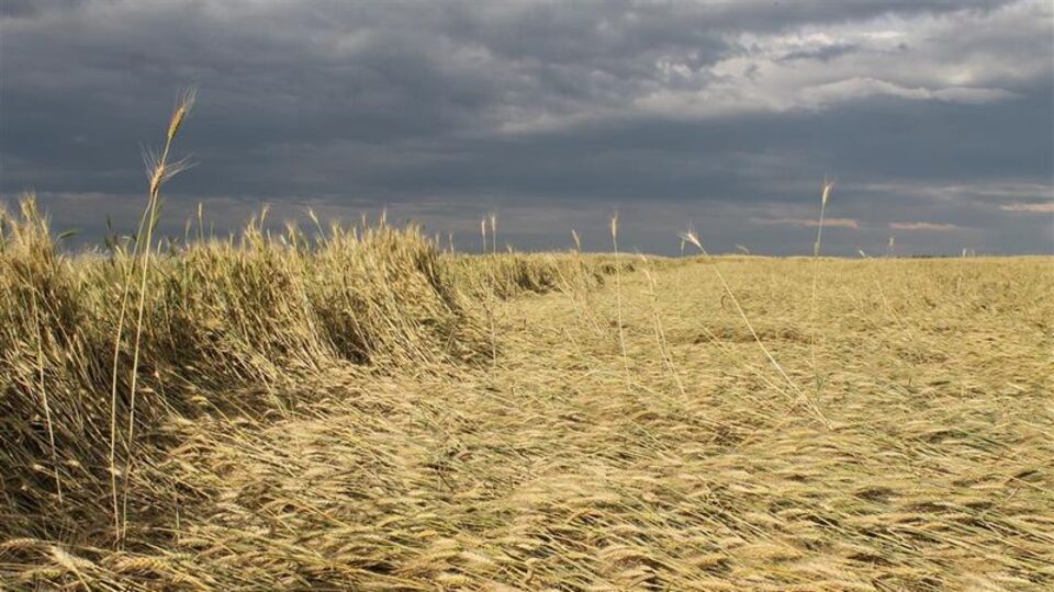 Trakya ve Doğu Karadeniz için sağanak uyarısı!