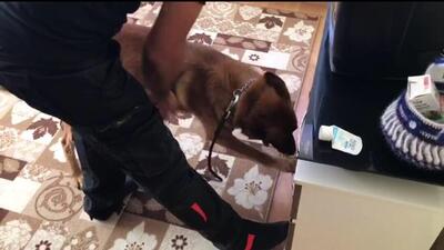 Helyus yine yakaladı