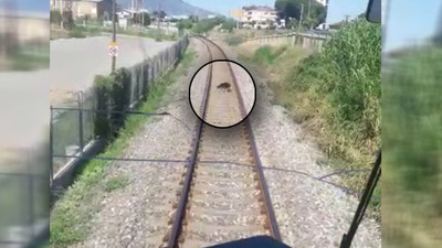 Makinistlerden örnek davranış